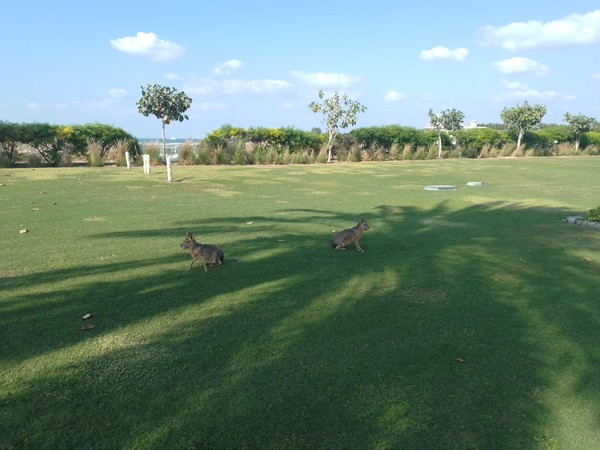 WhatsApp Image 2025-10-28 at 21.05.38 (1)