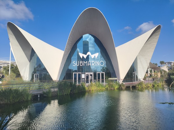 MVIMG_20250928_170903