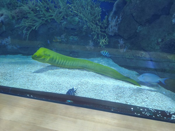 MVIMG_20250928_172127