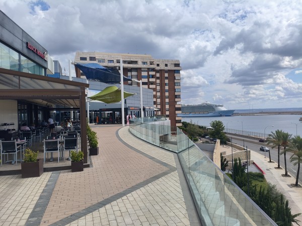 MVIMG_20250929_131613