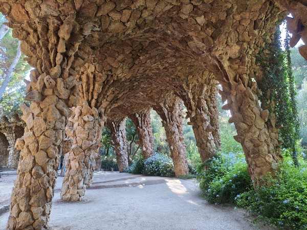 MVIMG_20250930_095826