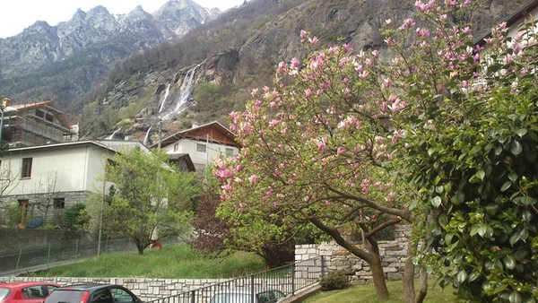 alp70
