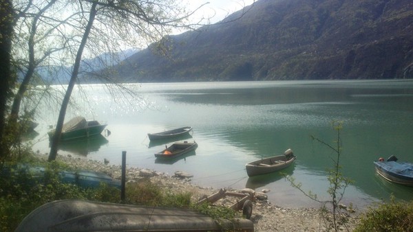 alp72
