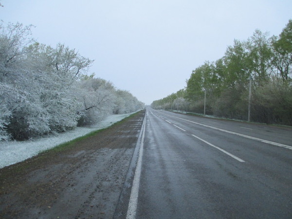 alt5