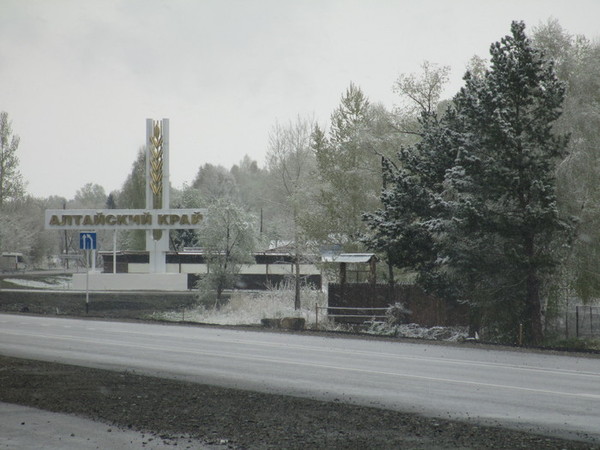 alt9