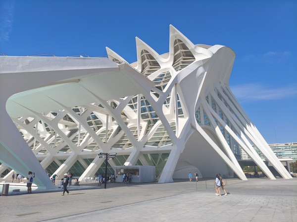 MVIMG_20250928_161011