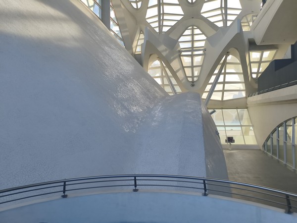 MVIMG_20250928_180146