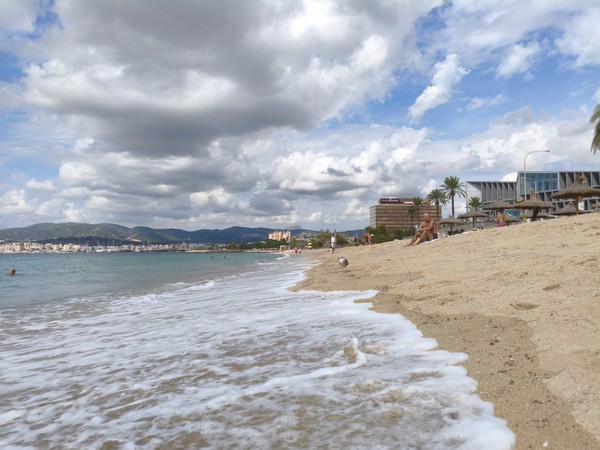 MVIMG_20250929_115258