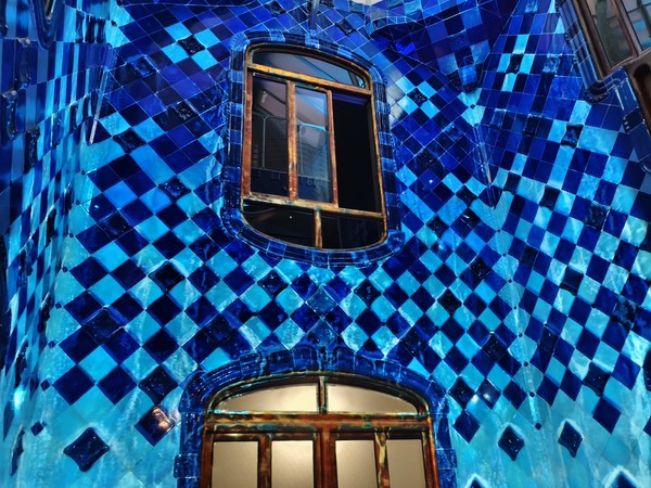 MVIMG_20250929_194600