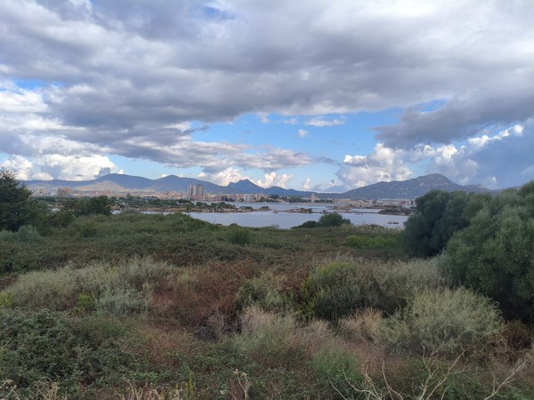 MVIMG_20251001_101249