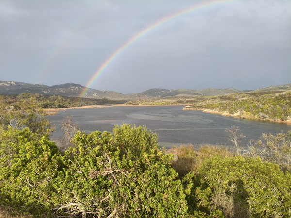 MVIMG_20251001_172013